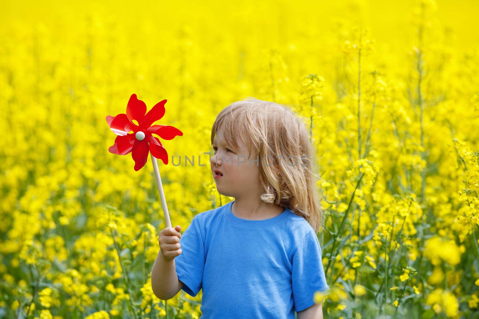 boy with long blond hair holding pinwheel in canola field