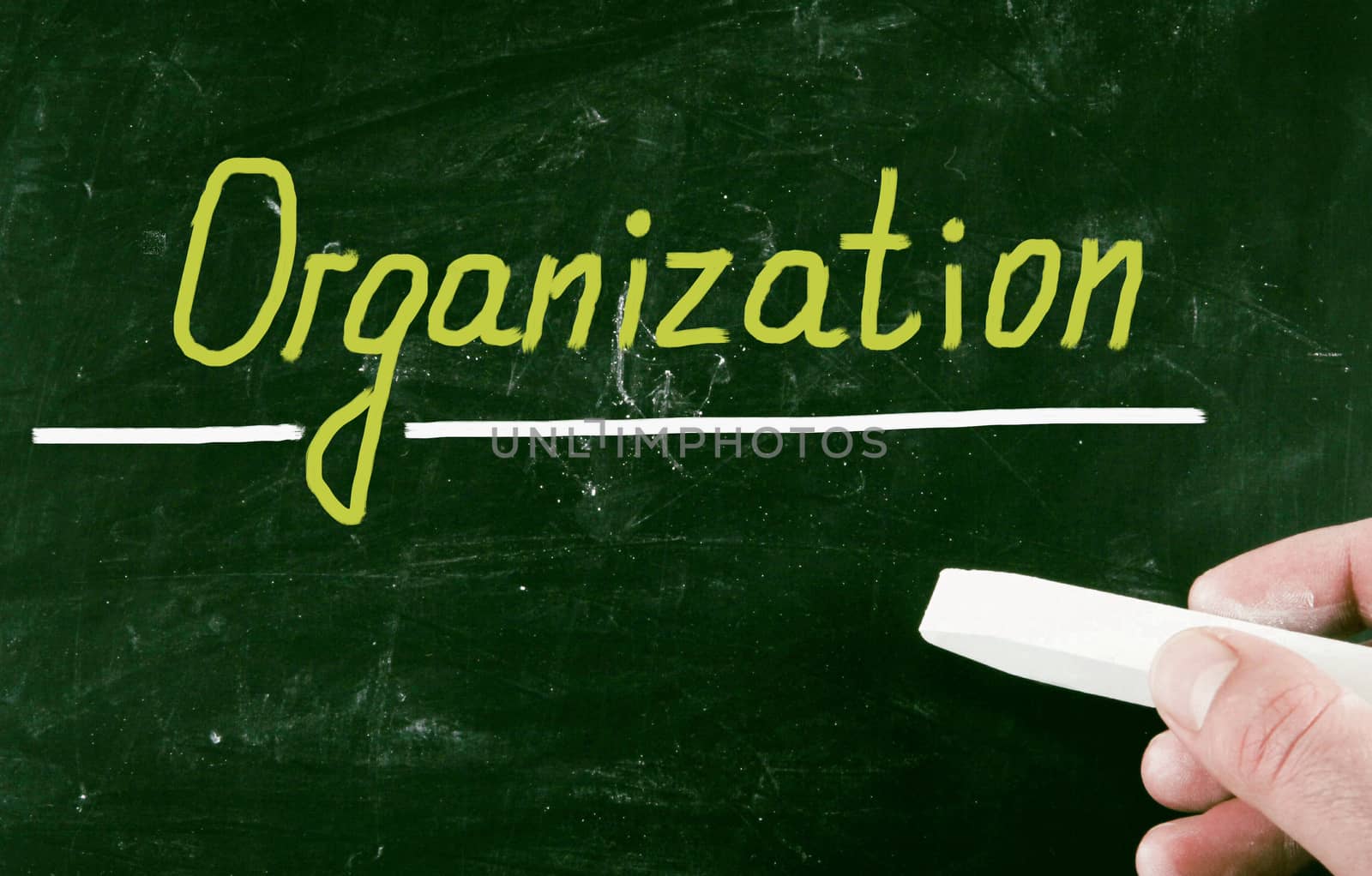 organization concept