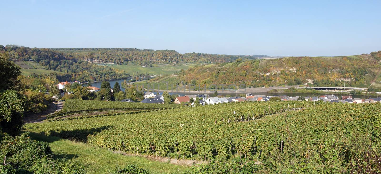 Moselle valley close to Machtum, Luxembourg, Europe