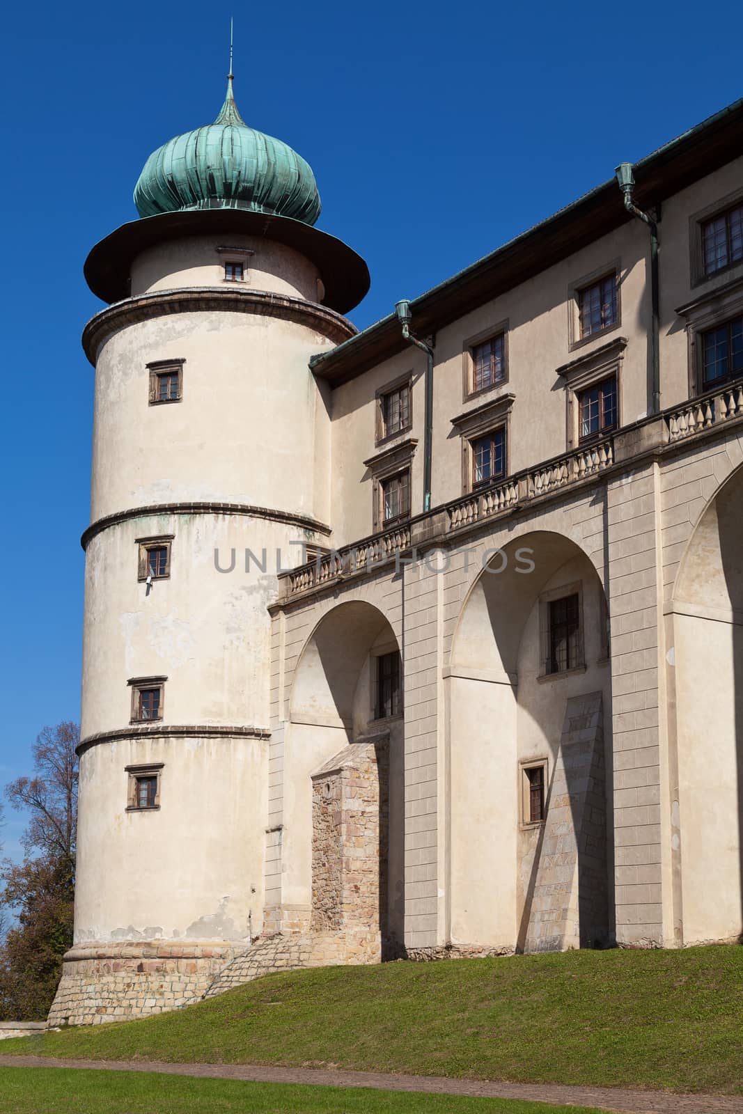 view on castle Nowy Wisnicz in Poland on a background of blue sky