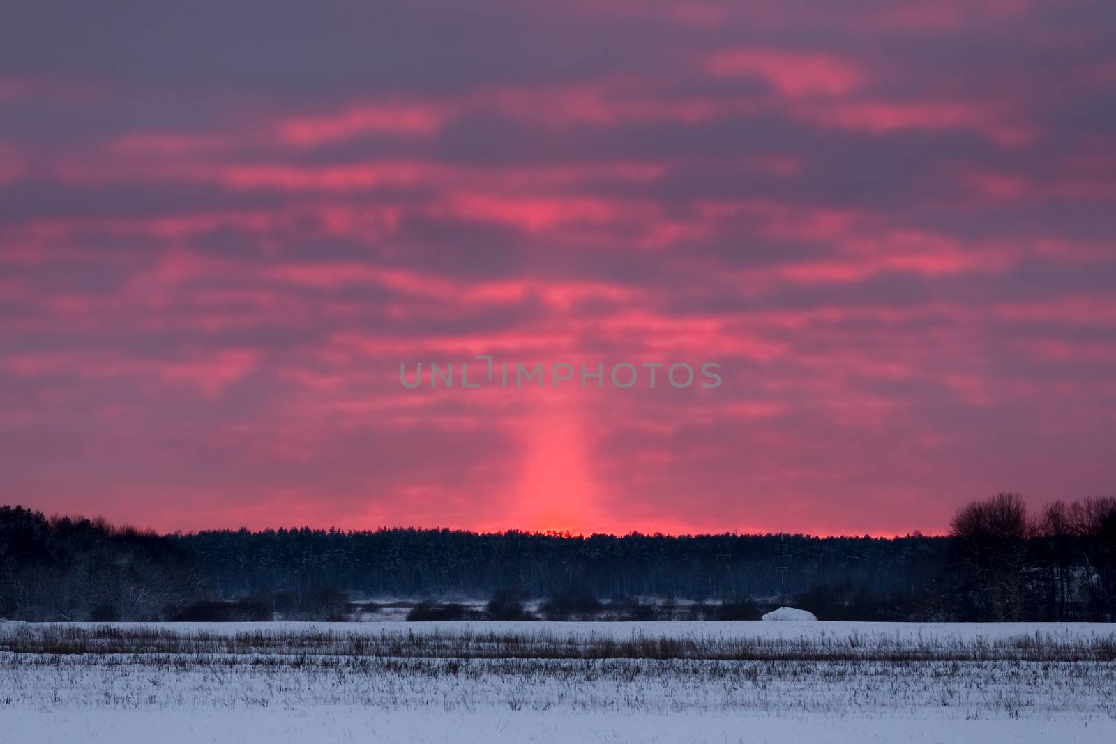 winter evening at countryside - pink sunset