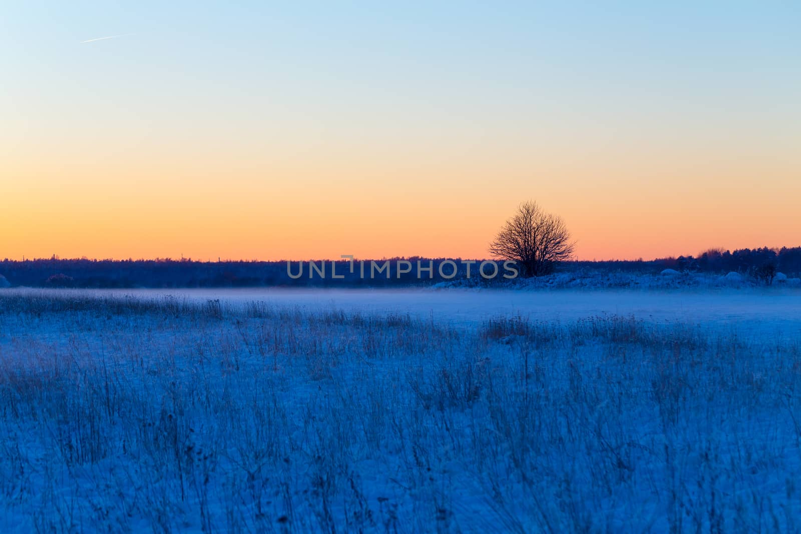 Winter snowy rural landscape in evening with litle fog