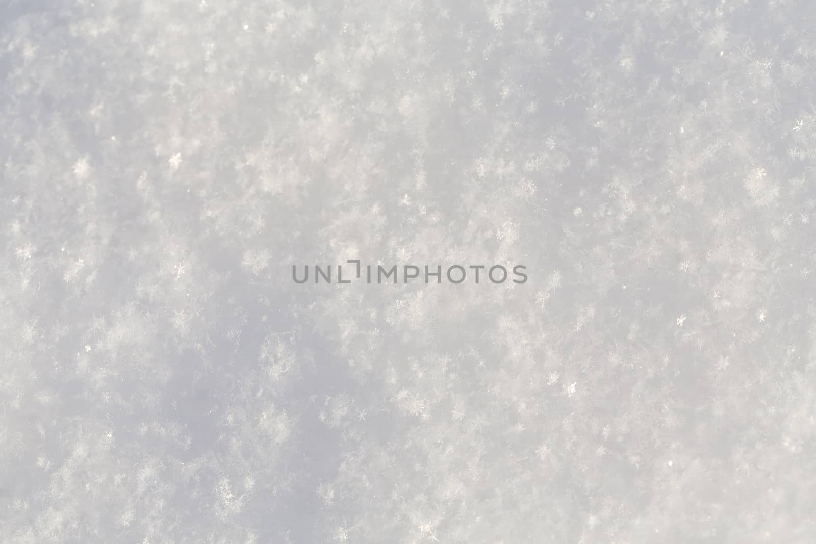 Pure snow texture - cold winter shot