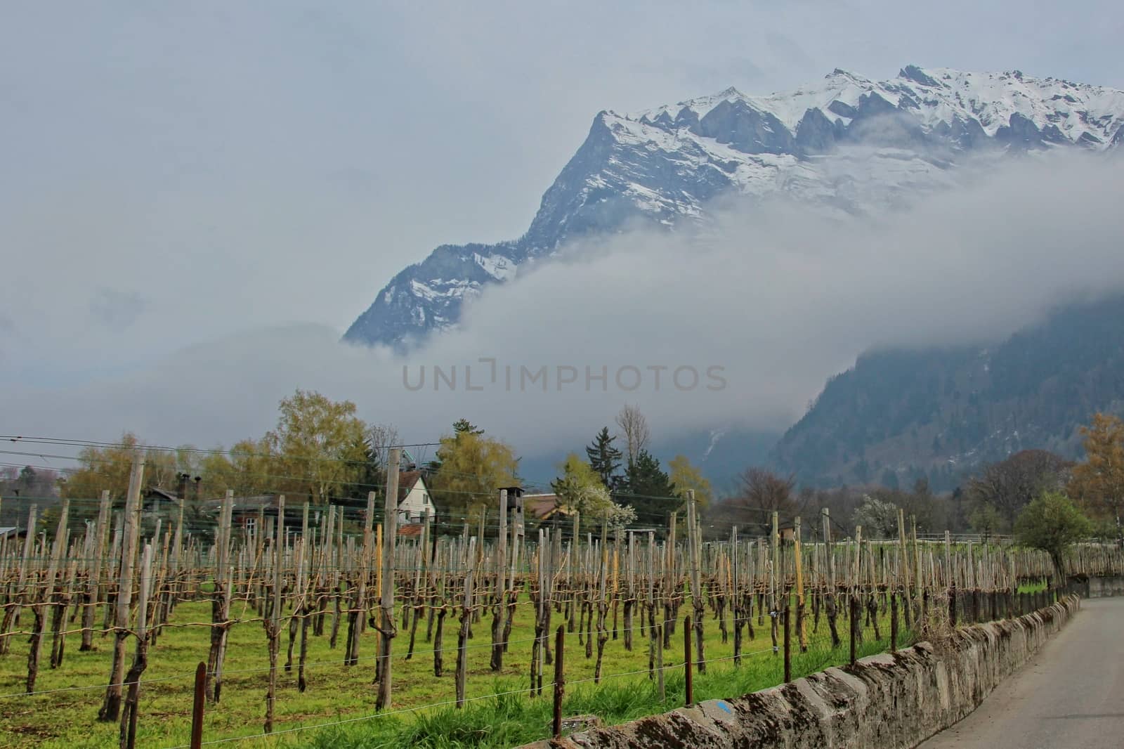 Farmland in the Swiss Alps