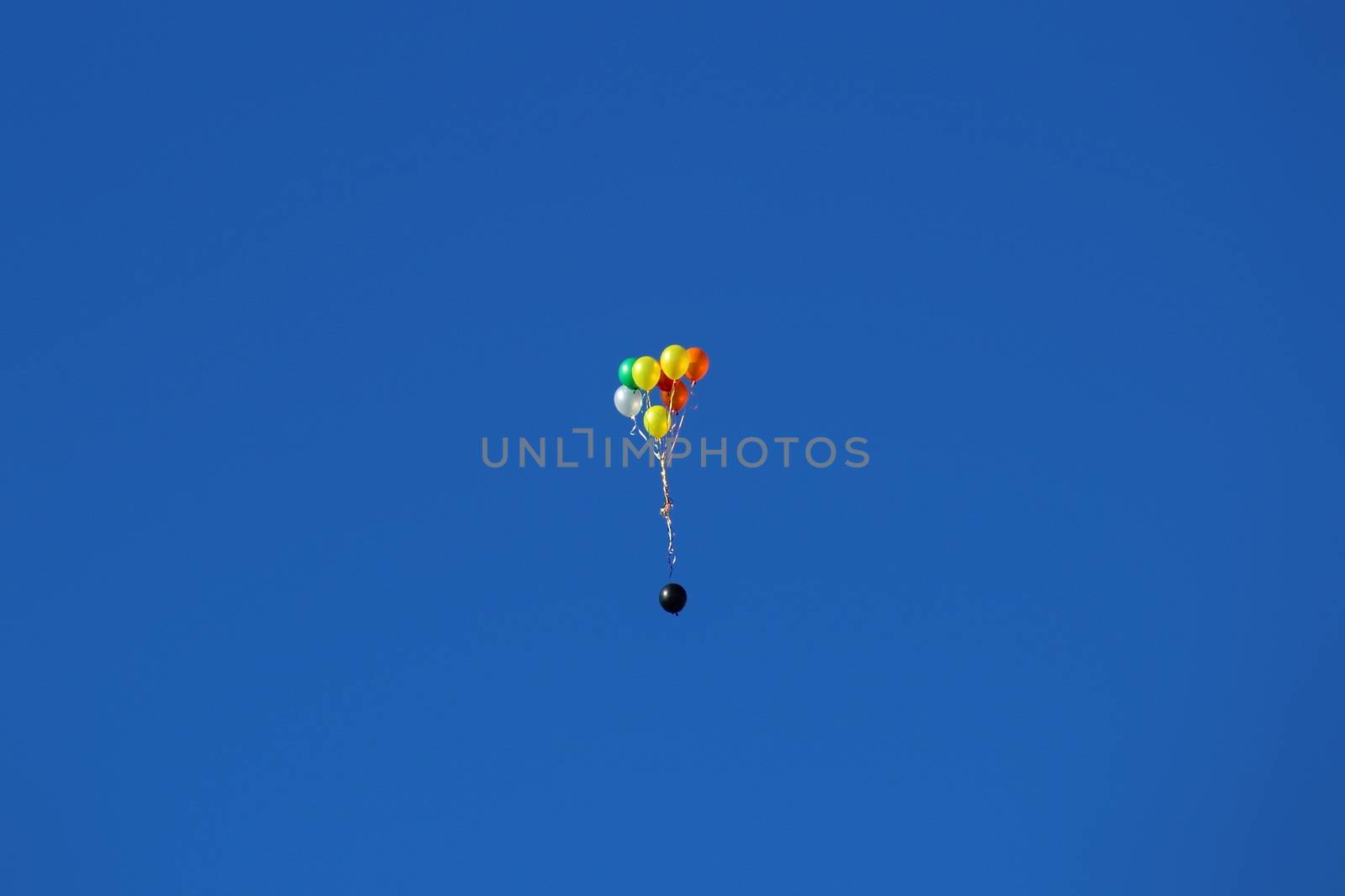 Colourful balloons floating off into a blue sky