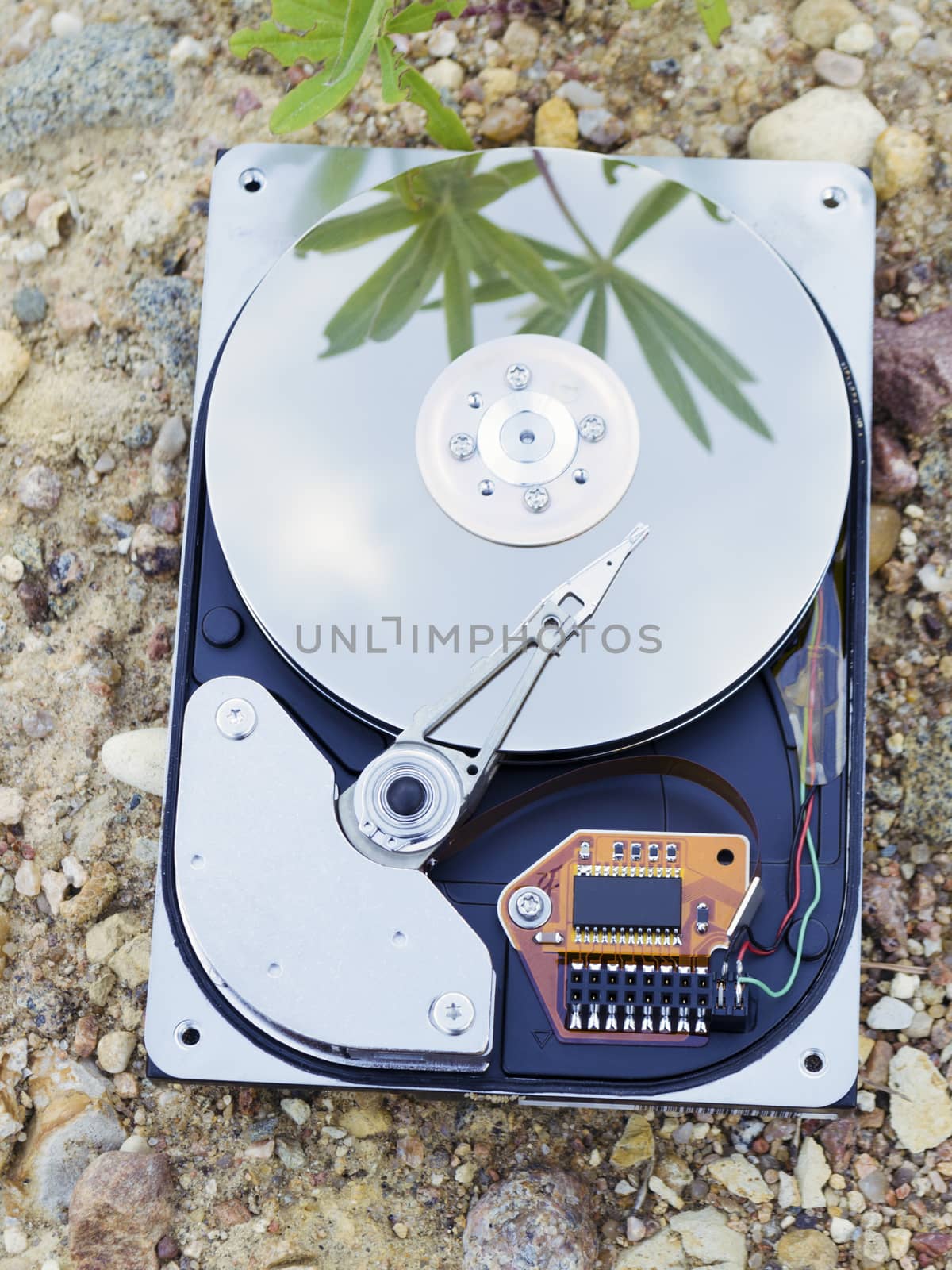 Hard Drive storage lays on the ground with sky and green plant reflection