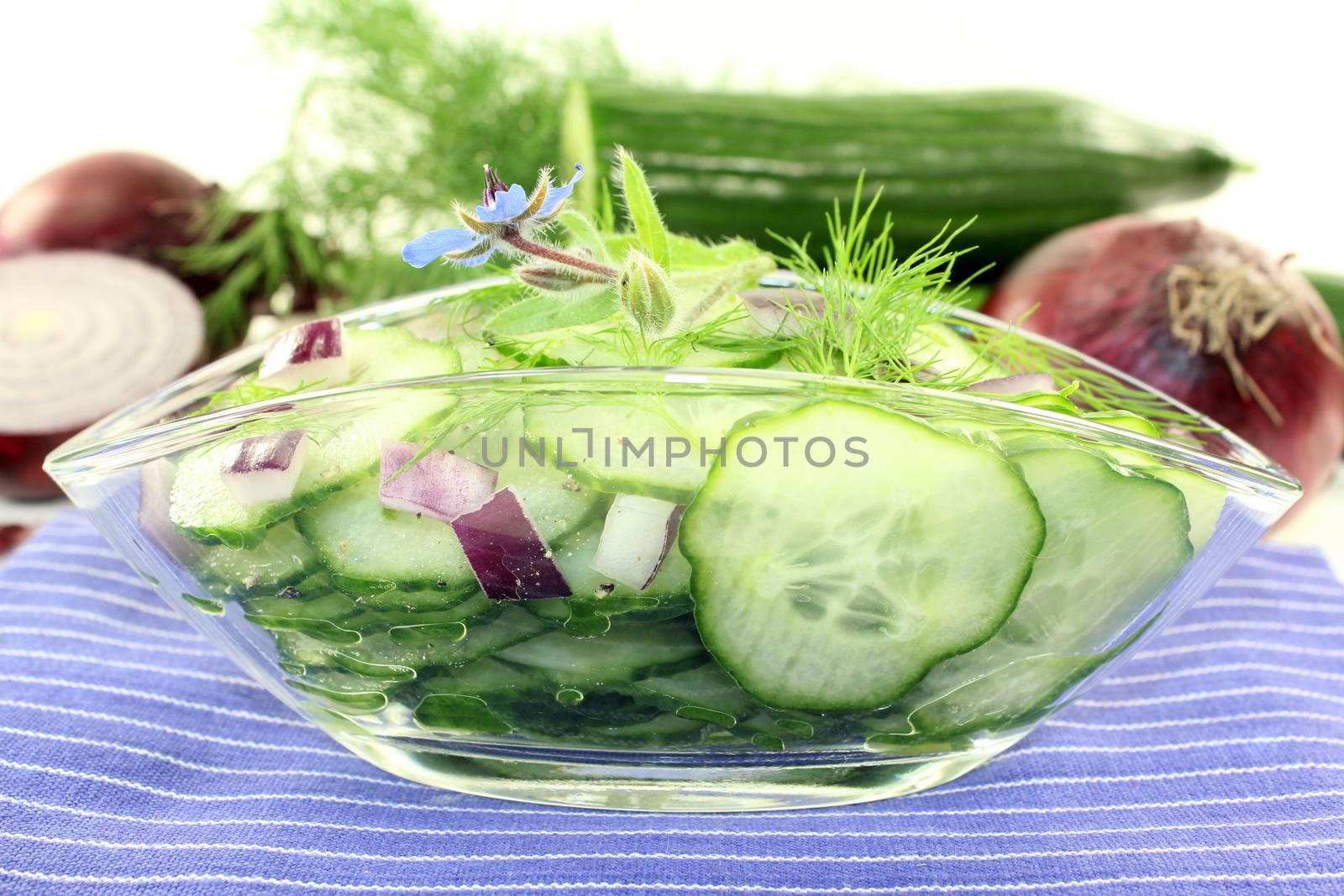 a bowl of cucumber salad with dill and red onions