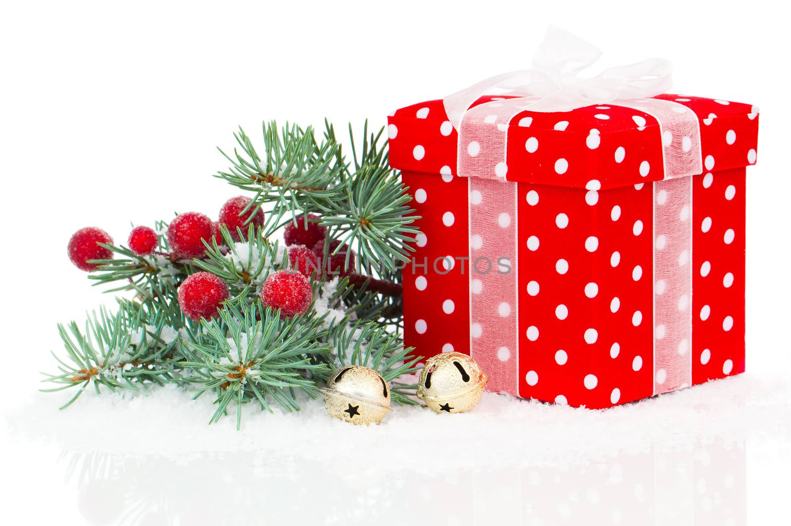 christmas red gift with branch firtree, isolated over white