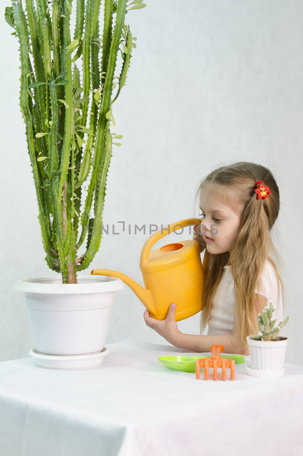 Girl pours from a watering can cacti by Madhourse