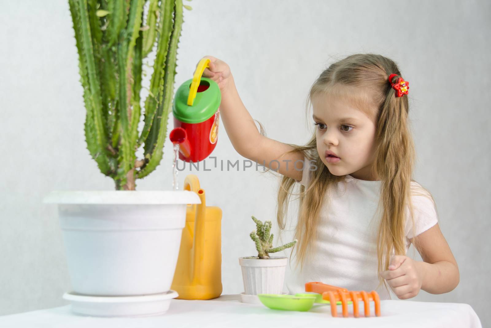Girl pours from a watering can cacti by Madhourse