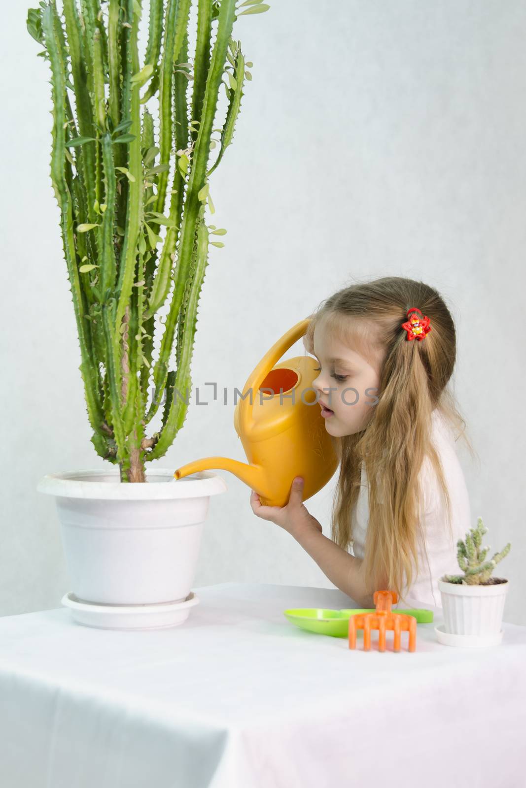 Girl playing in the gardener. Waters of a large cactus in the pot, standing next to a small cactus, a large lake, paddle