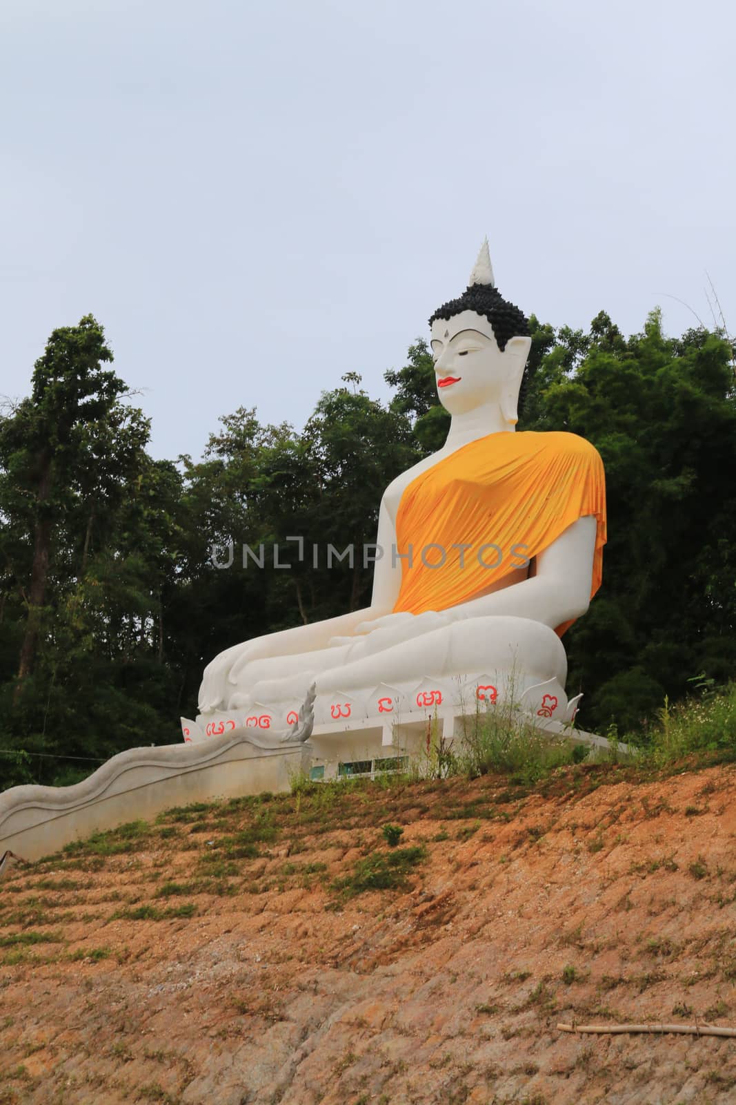 The under construction statue of buddha.Verry large size on the hill.