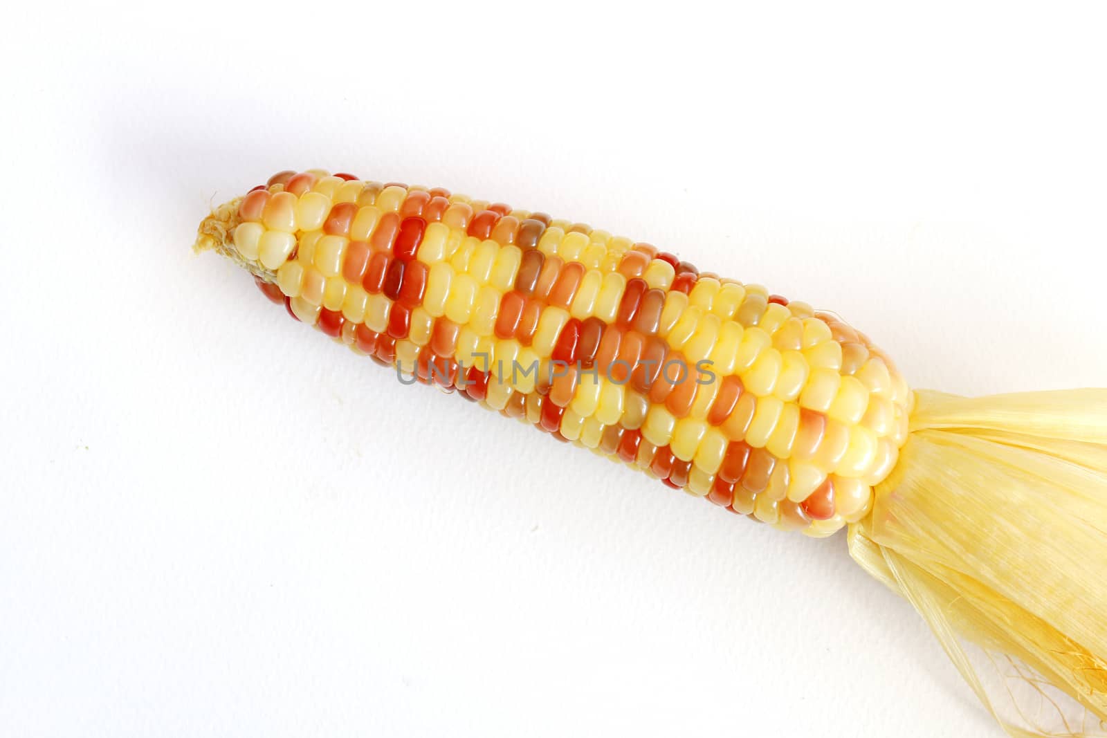 Maize corn have many colors in the grain of wheat of the same pod.