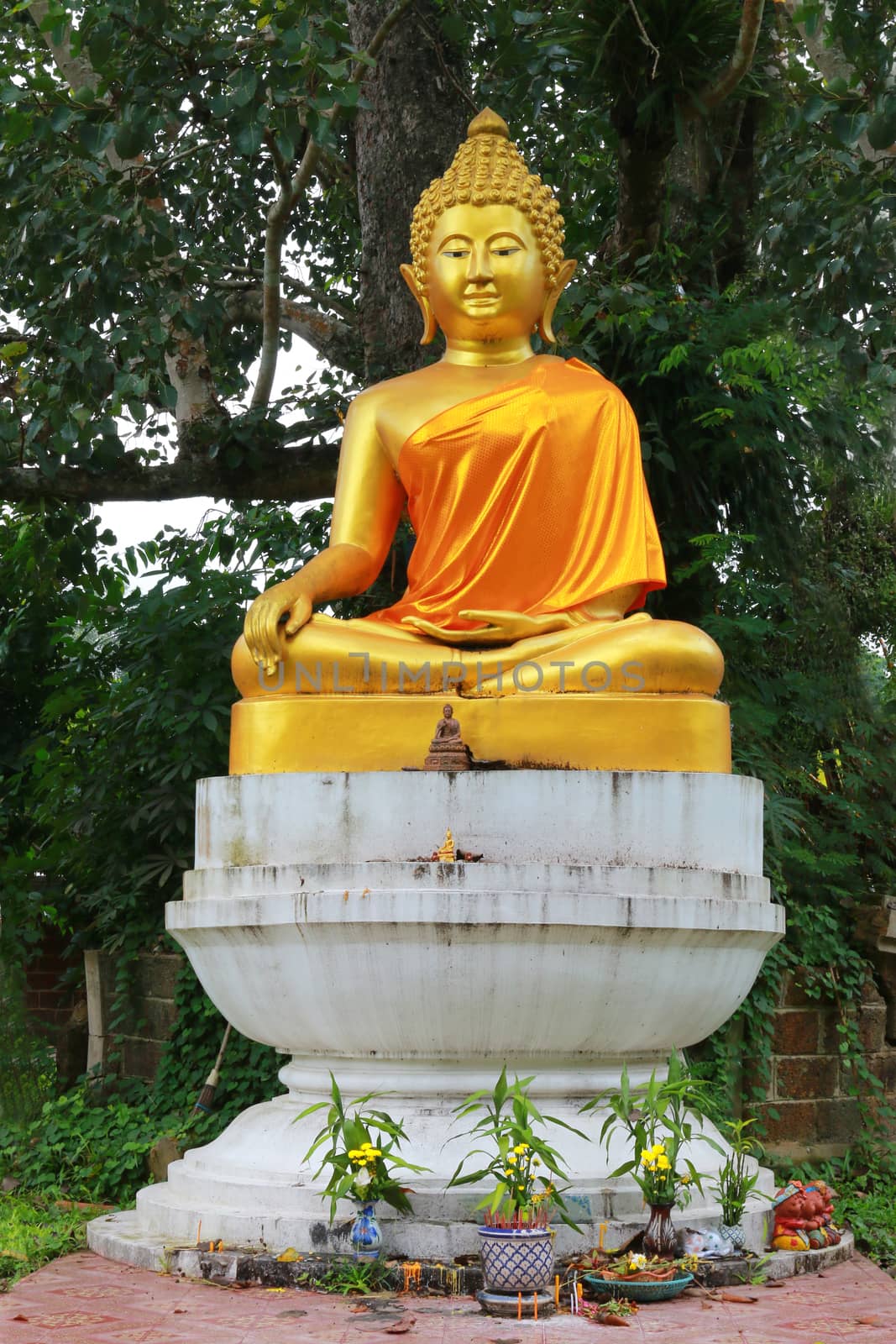 The image of Buddha under the tree and many things for religious ceremony.