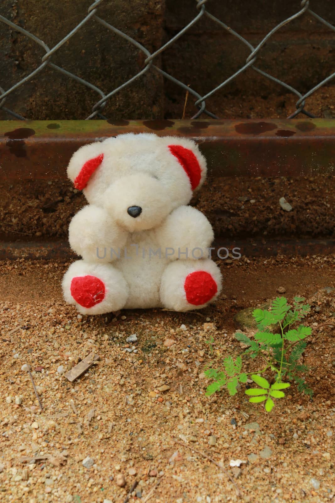 The doll is placed at the fence near the green plant.