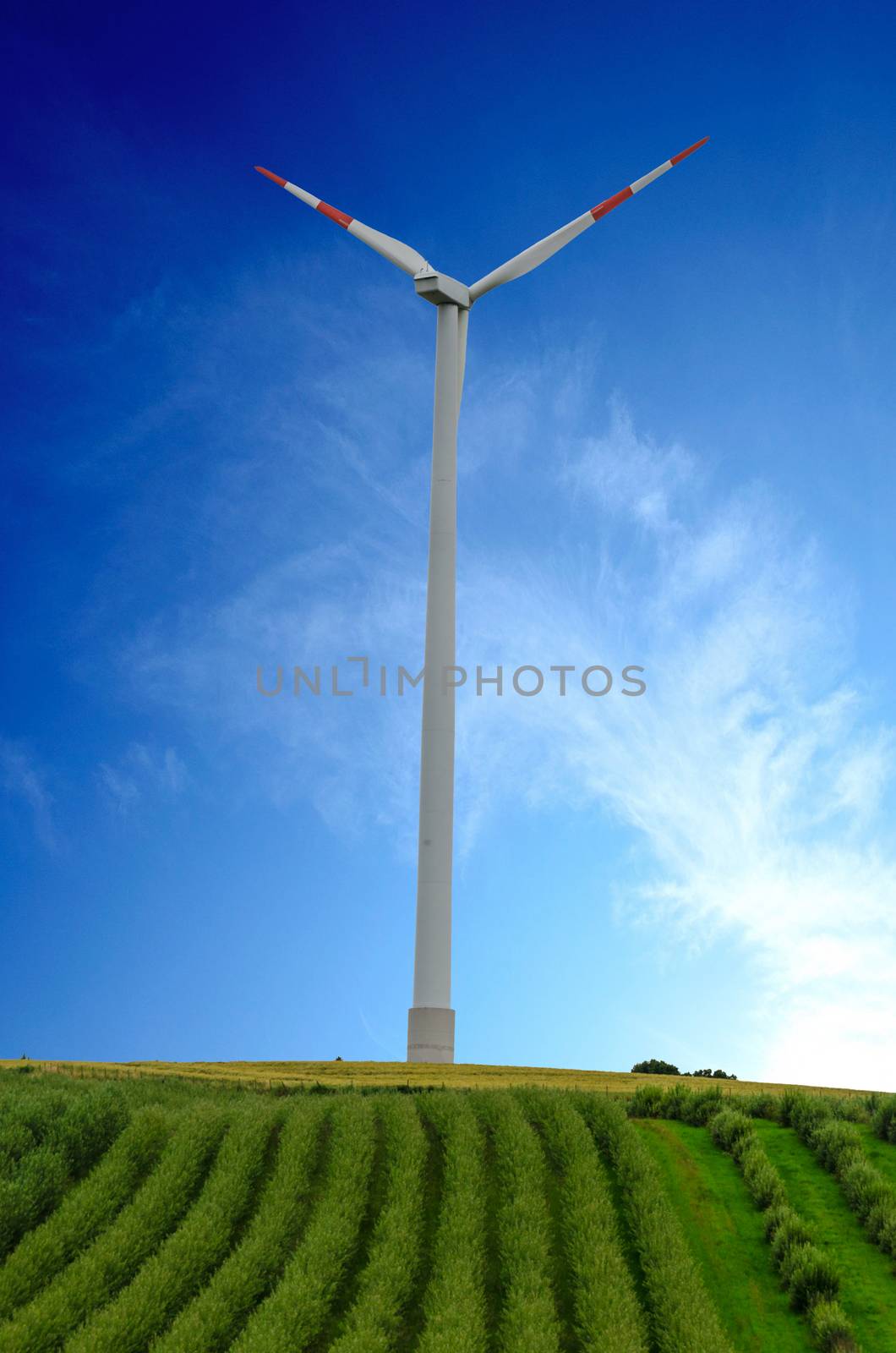 Wind power plant for environmentally friendly power generation.