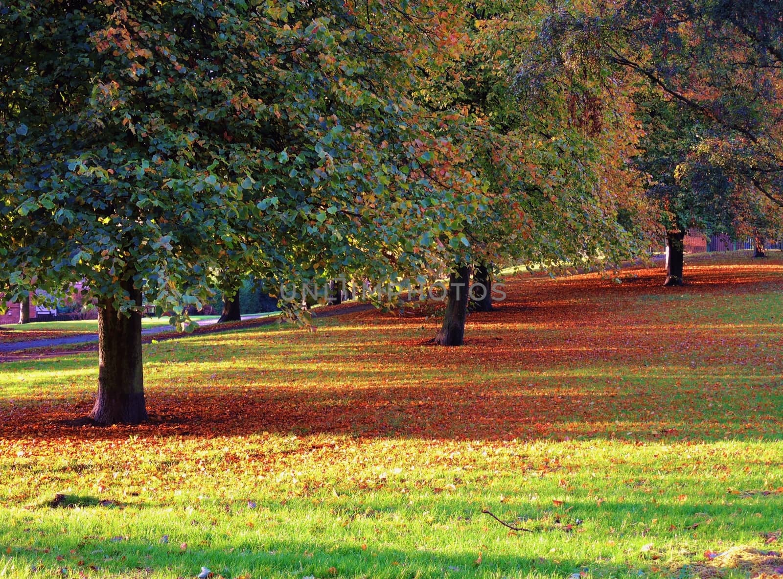 A colourful Autumn landscape. by paulst