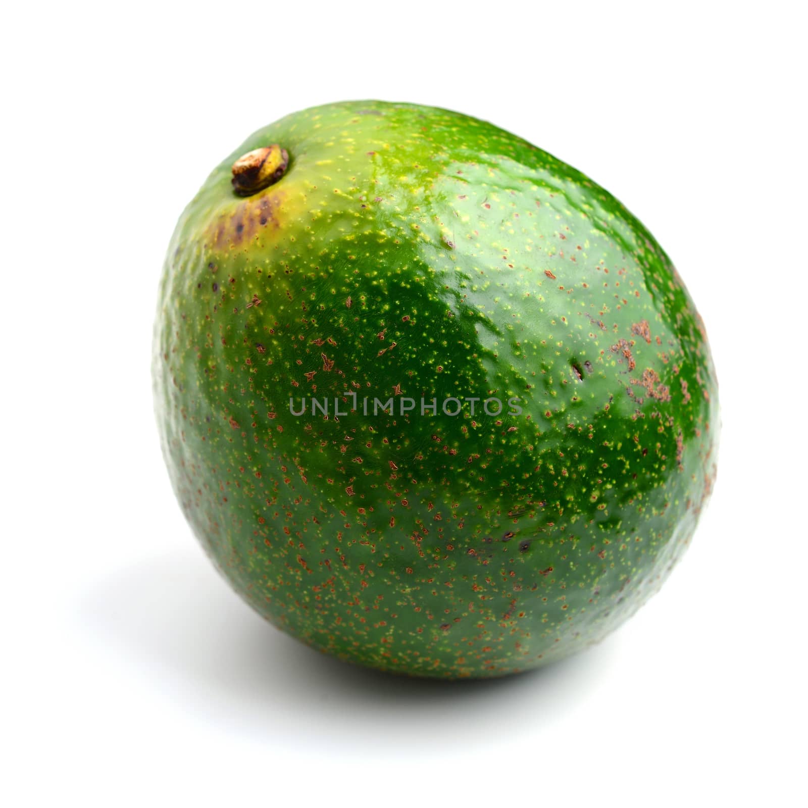 Avocado by antpkr