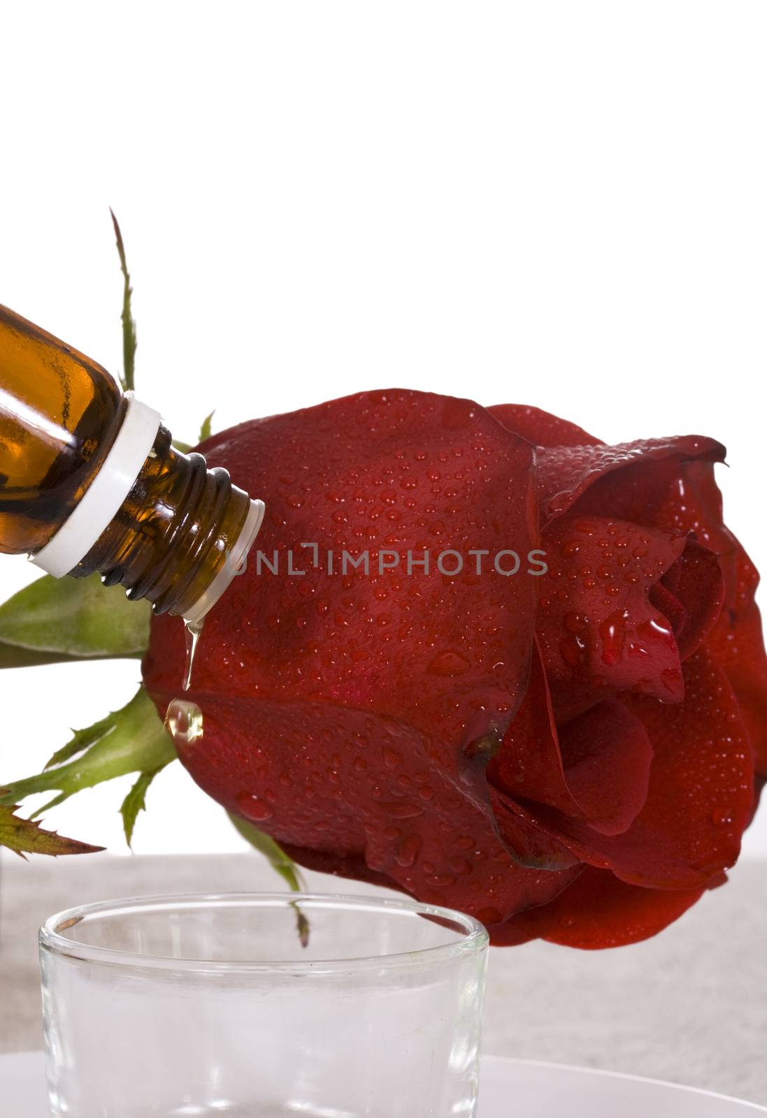 Spa essential oil dripping from the bottle and red rose