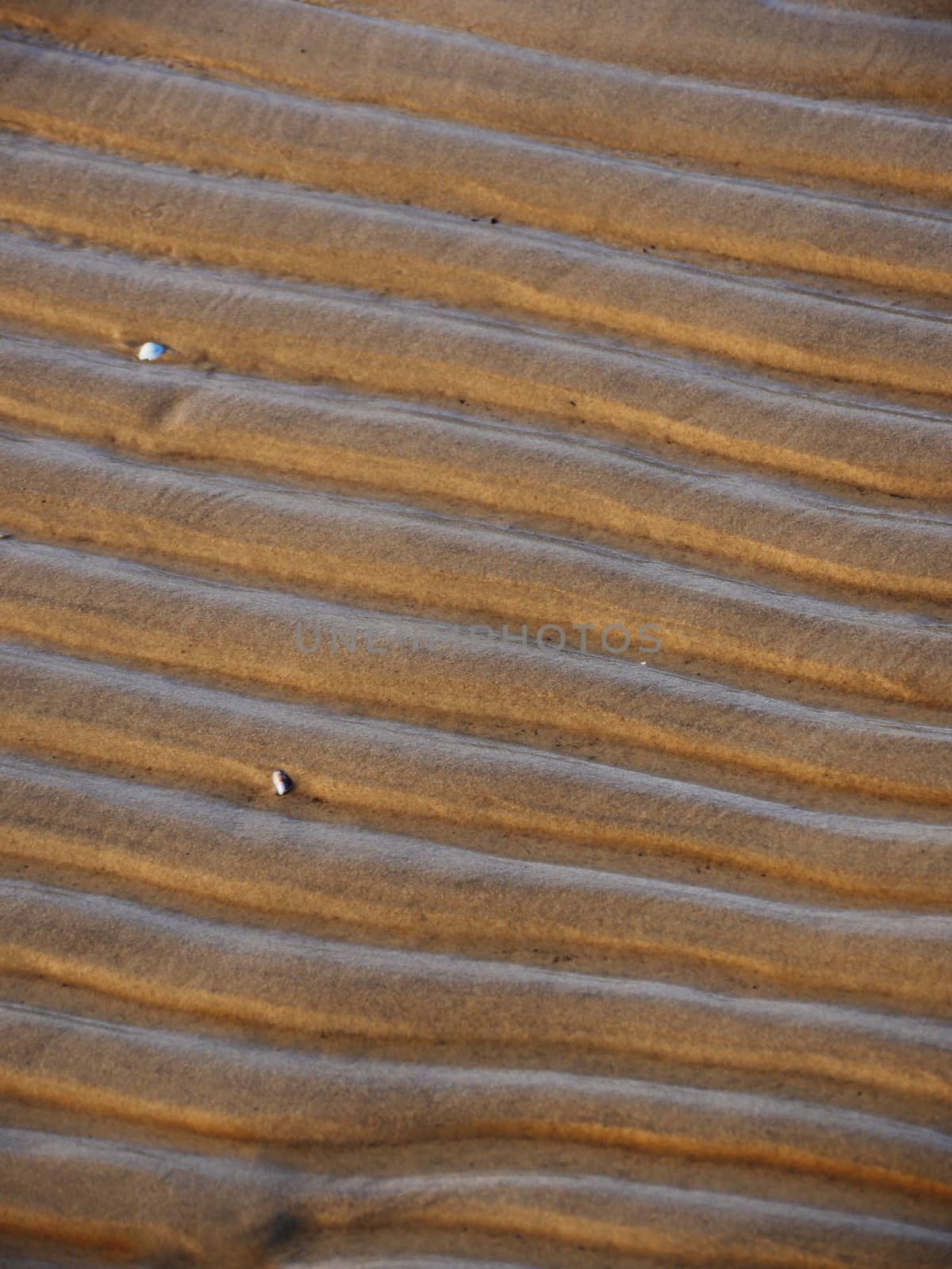 close up view beach sand lines background