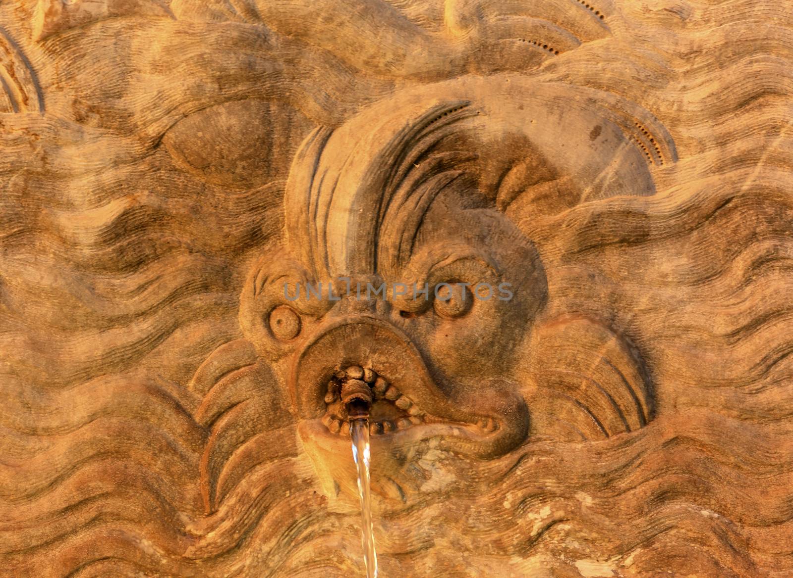 Alhambra Wall Garden Fish Monster Fountain Granada Andalusia by bill_perry