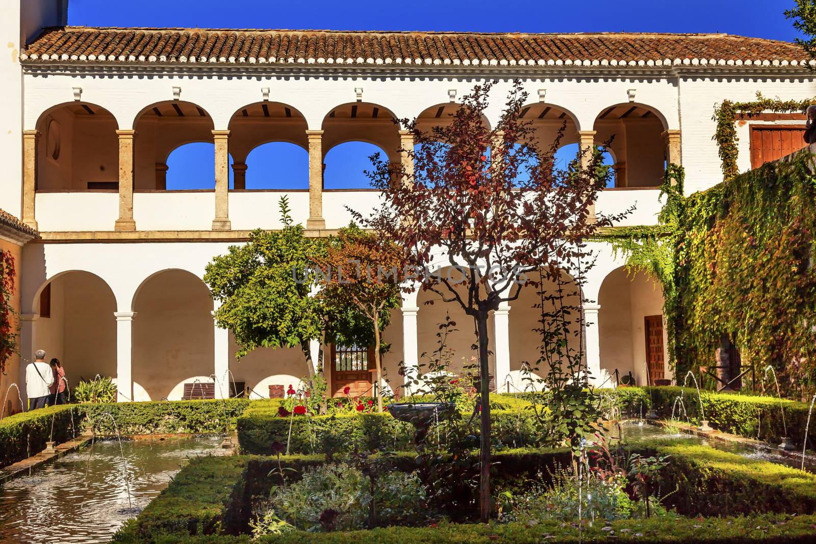 Generallife Alhambra White Palace Garden Granada Andalusia by bill_perry