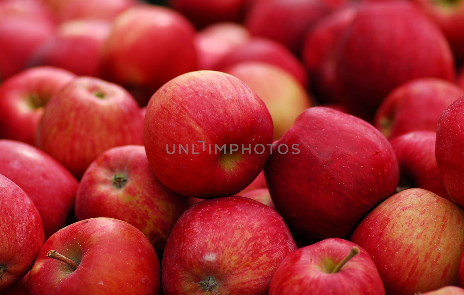 cluster of farm fresh red delicious apple fruit