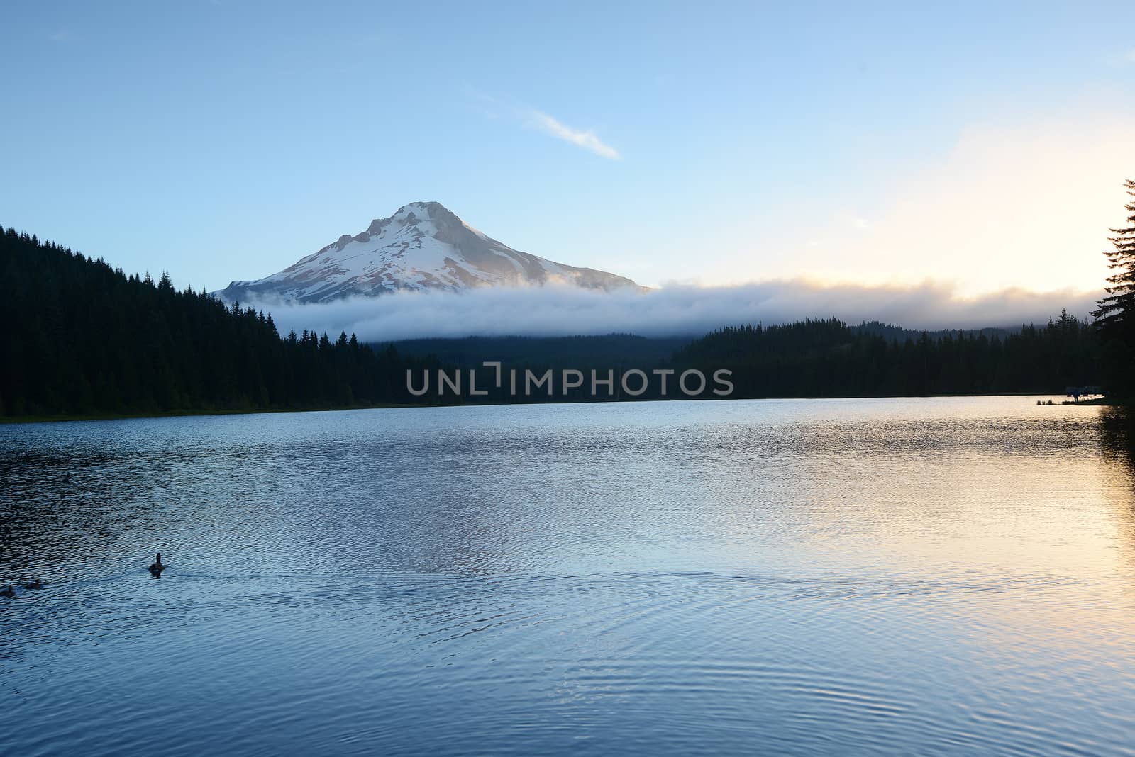 Morning sunlight at Mount Hood in Oregon, with reflection