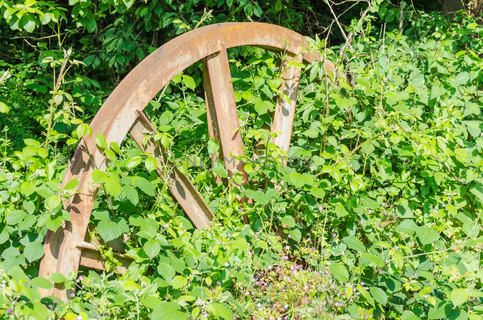 Feed wheel, colliery in the forest floor by JFsPic