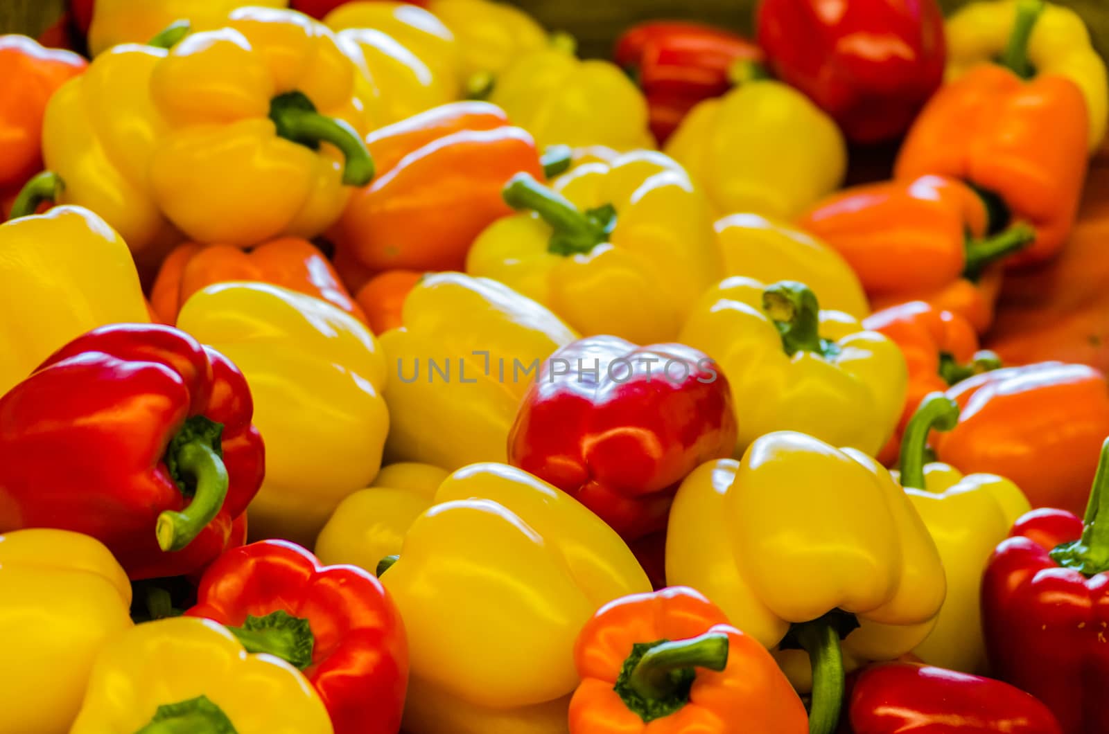 Yellow peppers, green and red on a farmers market.