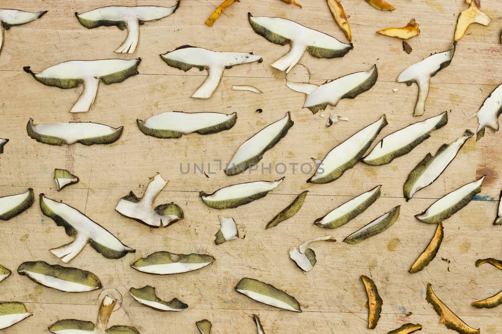 Detail od the dried mushrooms - edible boletus