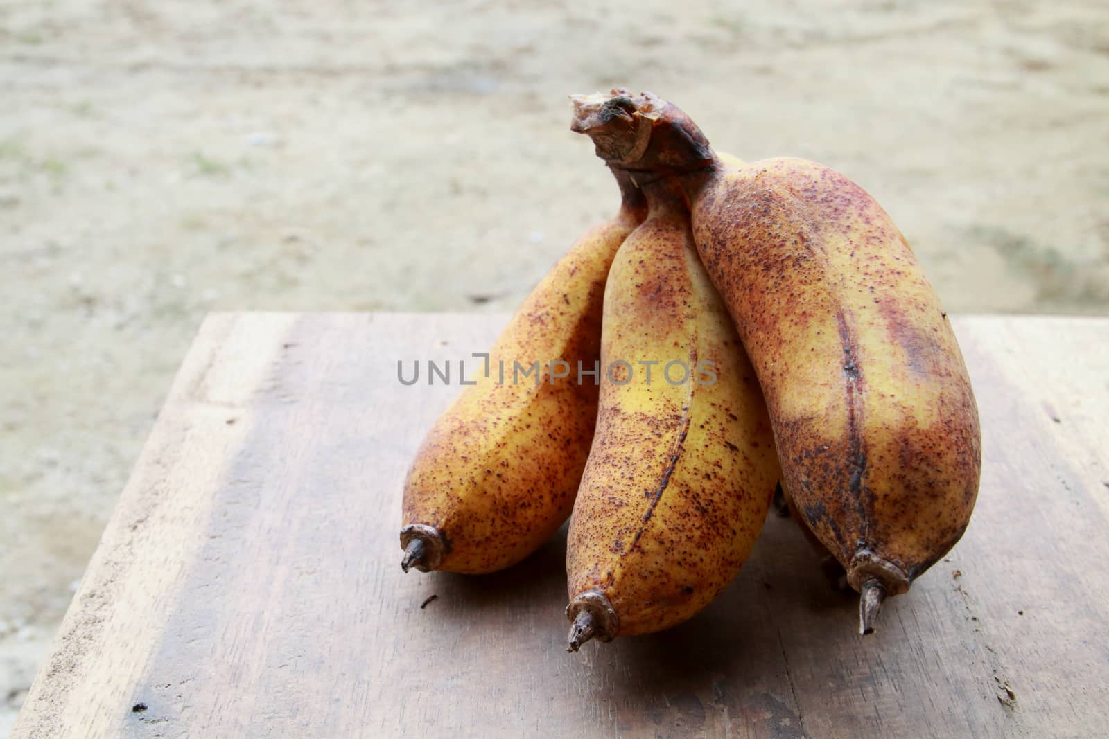 The ripen cultivated banana on thetable.