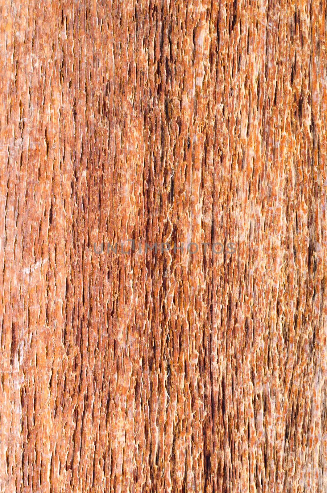 High Quality Surface Stone Texture and background.
