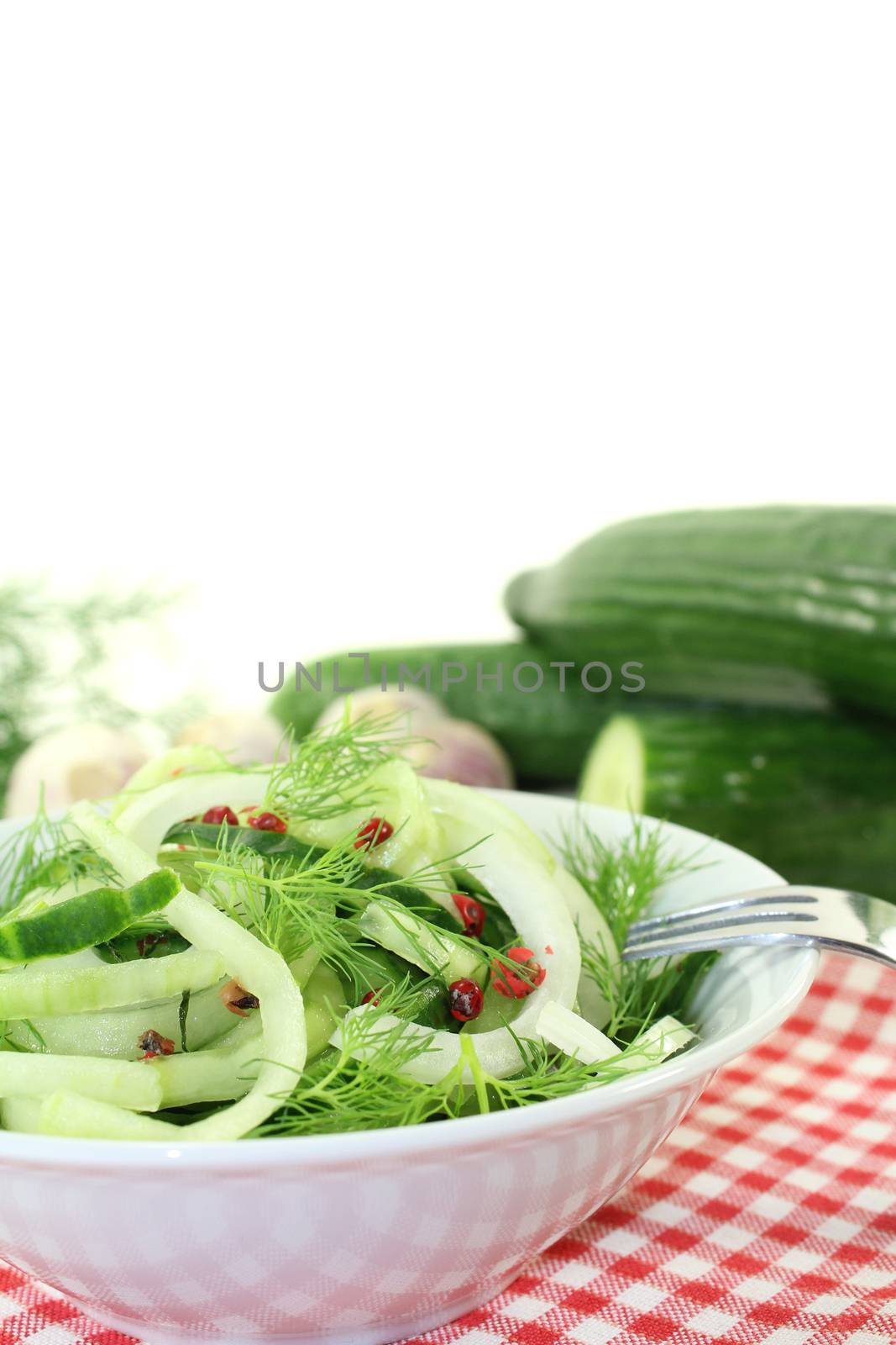 Spaghetti cucumber with red pepper, onions and dill on bright background