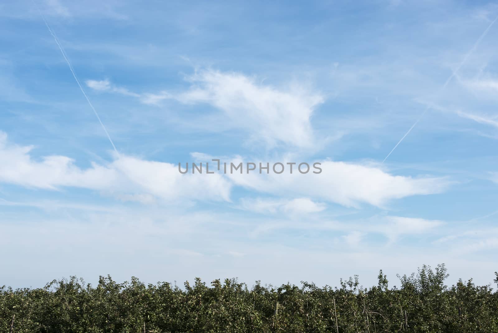 background from blue sky white airplane stripes and green foreground