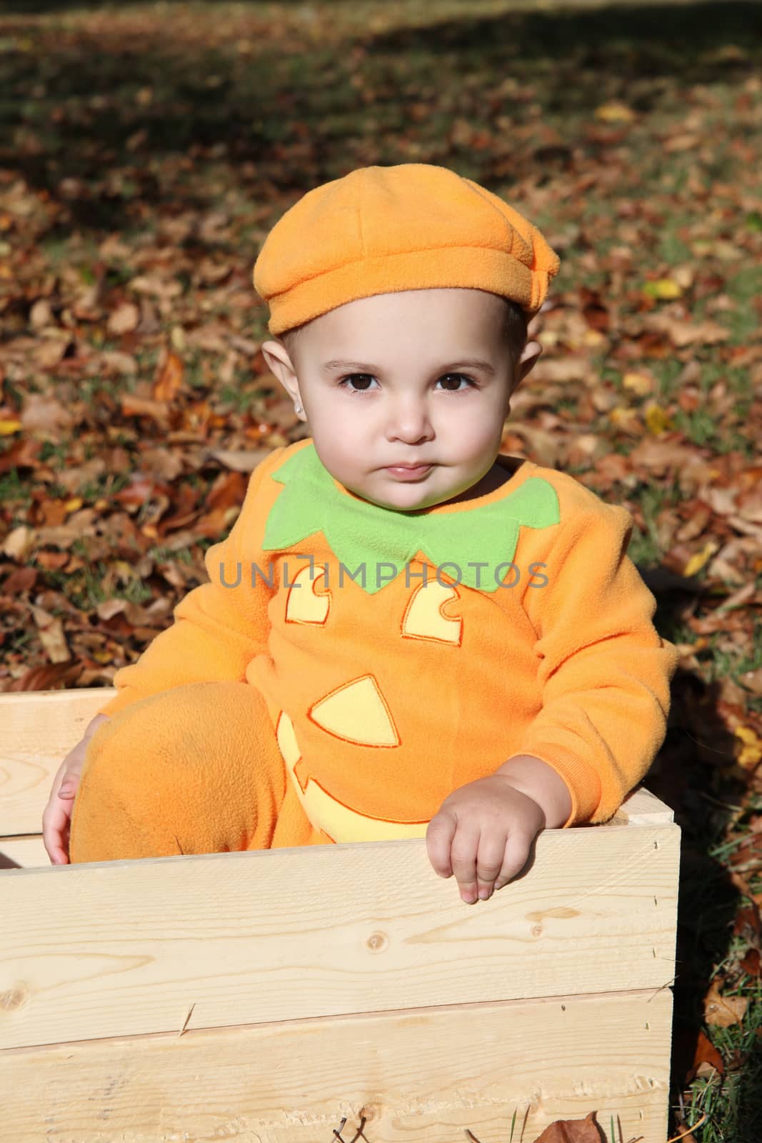 Halloween baby dressed as a pumpkin amongst fall leaves