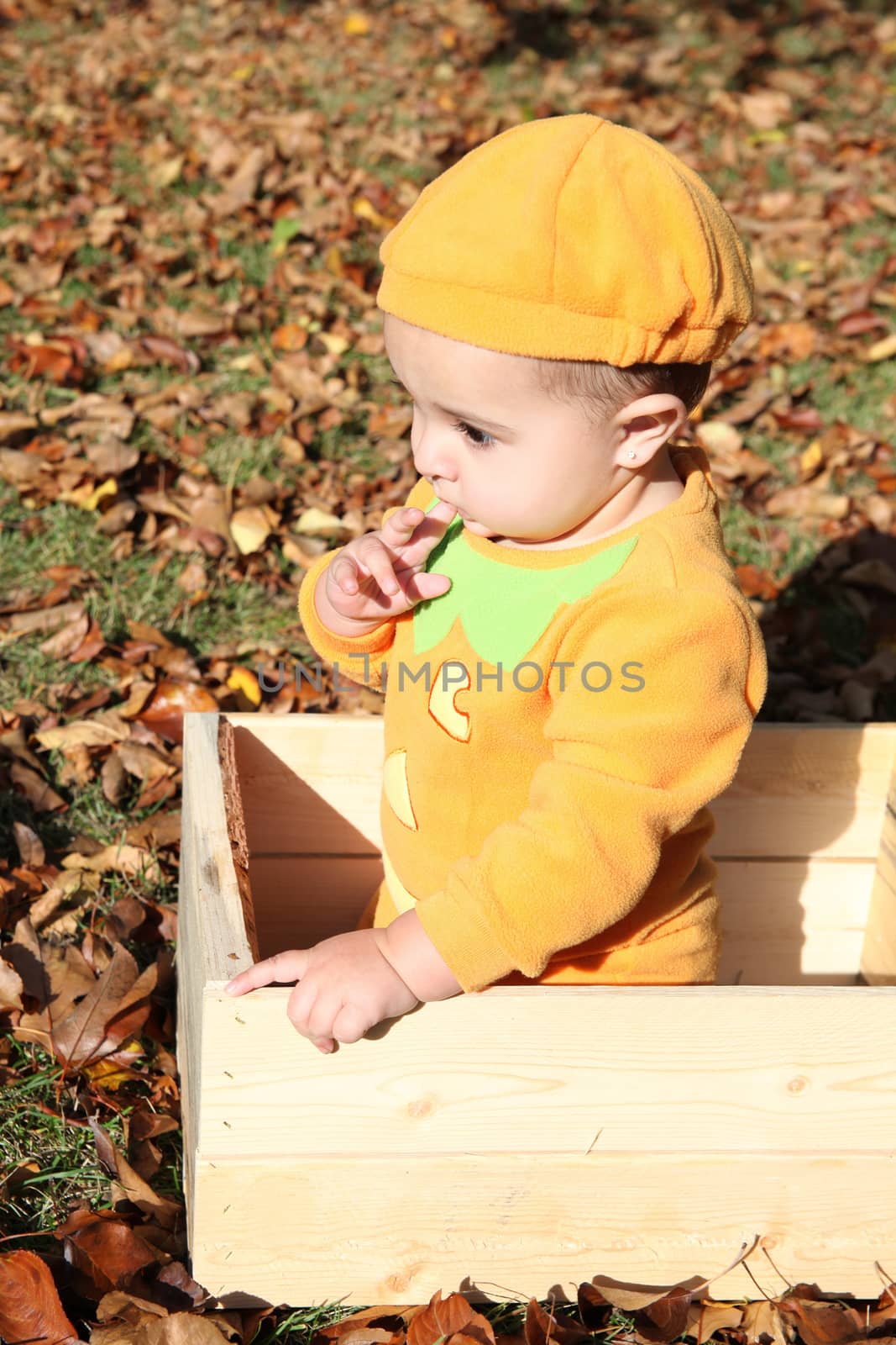 Halloween baby dressed as a pumpkin amongst fall leaves