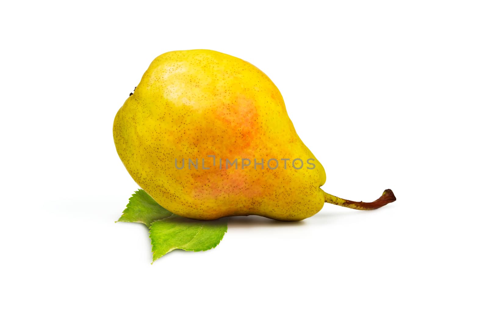 Yellow ripe pear and green leaves on a white background