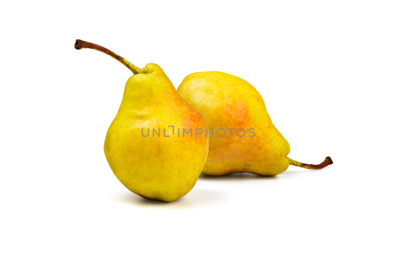 Two yellow ripe pear on a white background