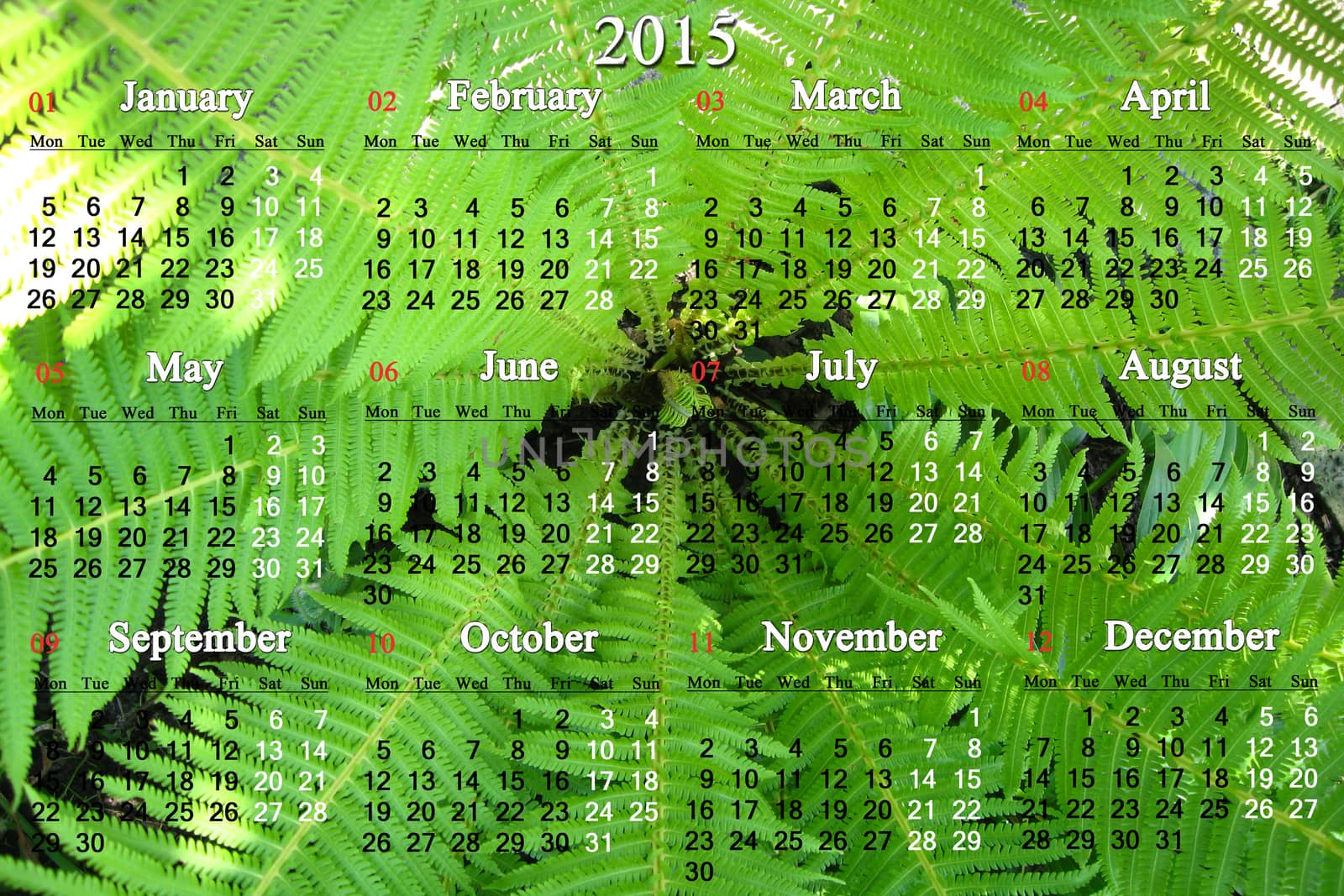 calendar for 2015 year on the background of green fern