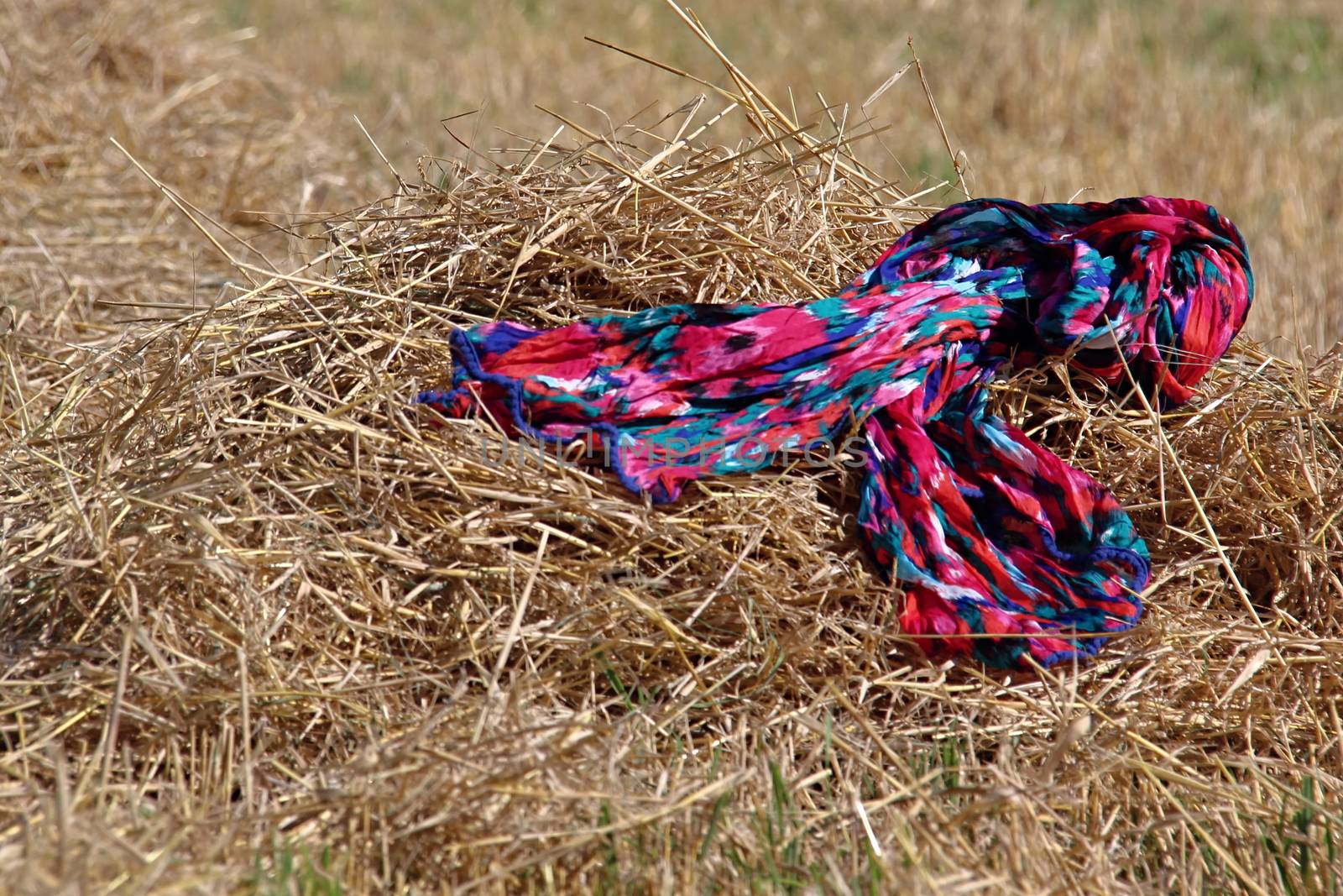 Photo shows colourful scarf on the straw.