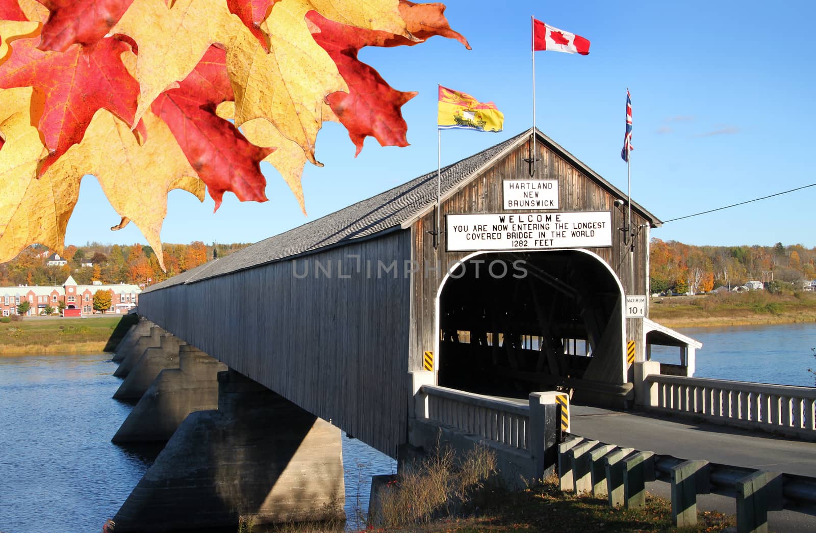 The longest wooden covered bridge in the world located in Hartland, New Brunwick, Canada in Autumn time with colorful maple leaves