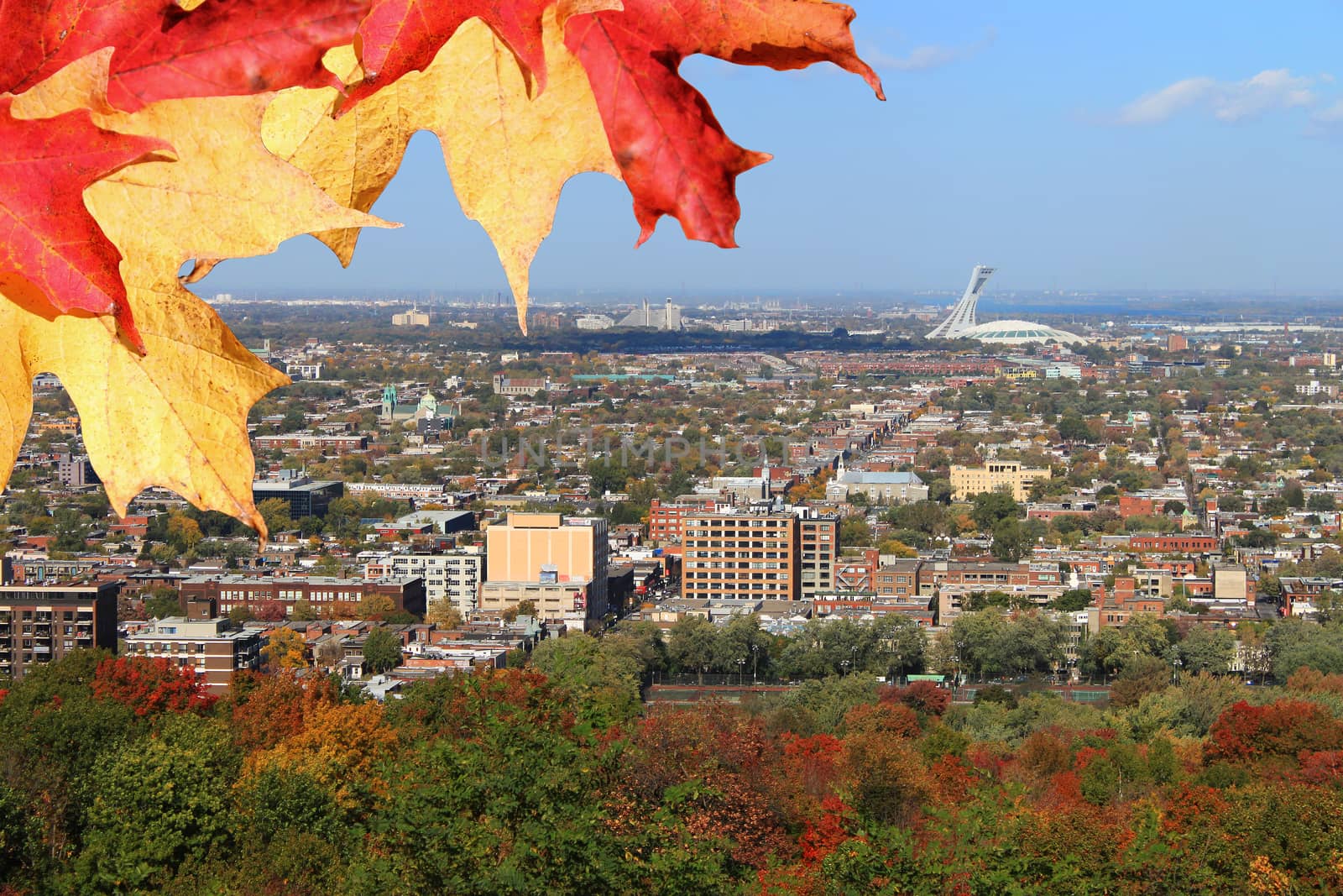 Panoramic view of North Montreal, Quebec, Canada during Autumn or Fall season  with colorful leaves and Olympic Stadium in the background 