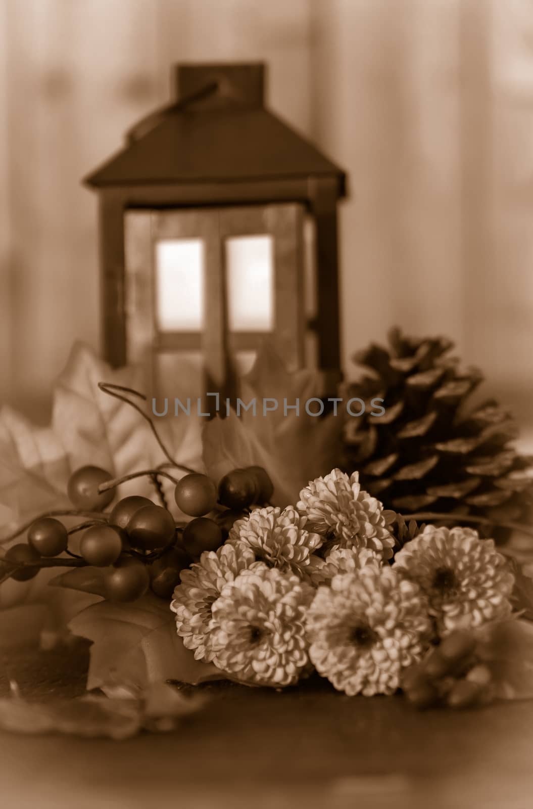 Fall or autumn flowers, pine cone and berries with sepia leaves and lantern on a vintage wooden background with shallow depth of field
