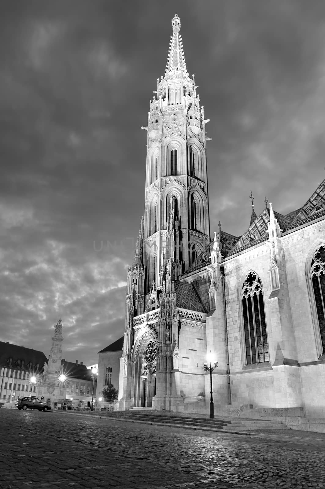 Church of Mathias Rex in Budapest, Hungary by anderm