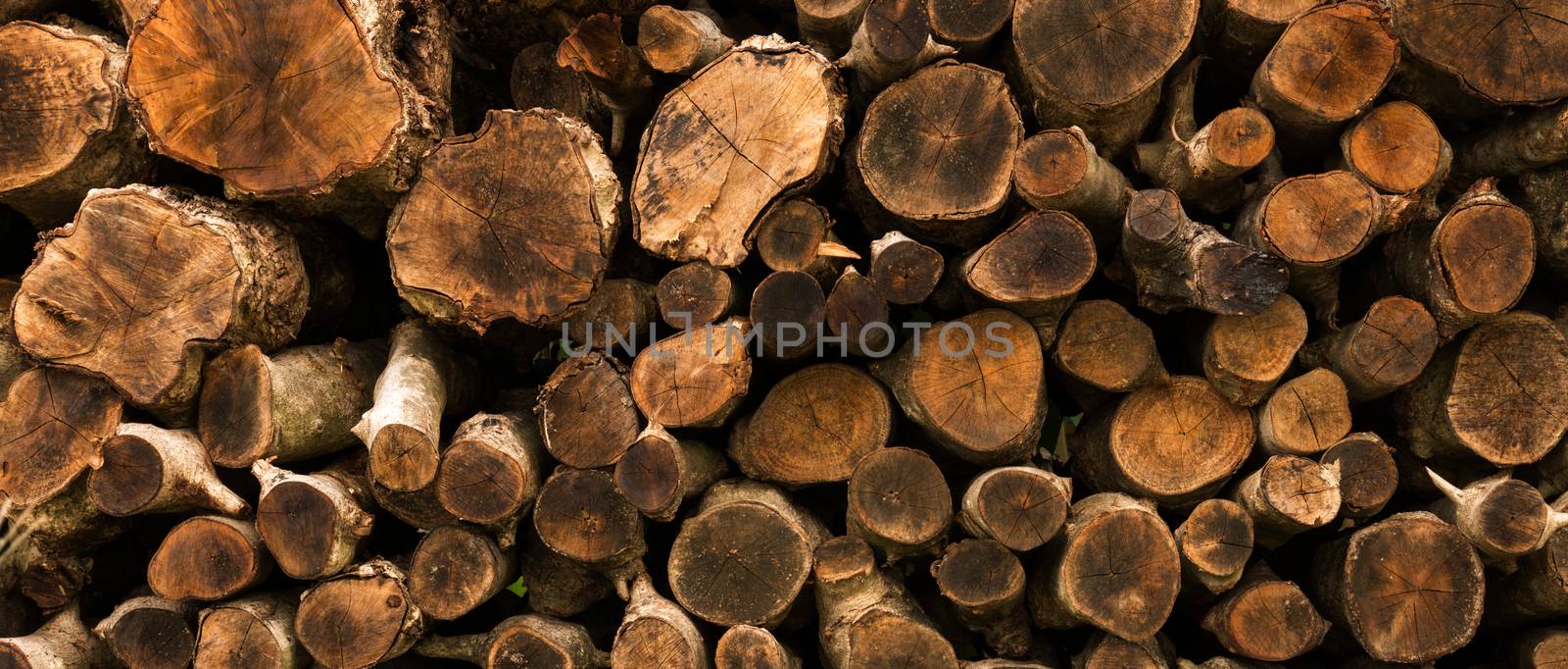 Stumps for making charcoal. by Noppharat_th