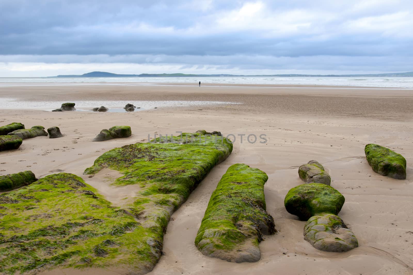 girl walking near unusual mud banks at Beal beach in county Kerry Ireland on the wild Atlantic way