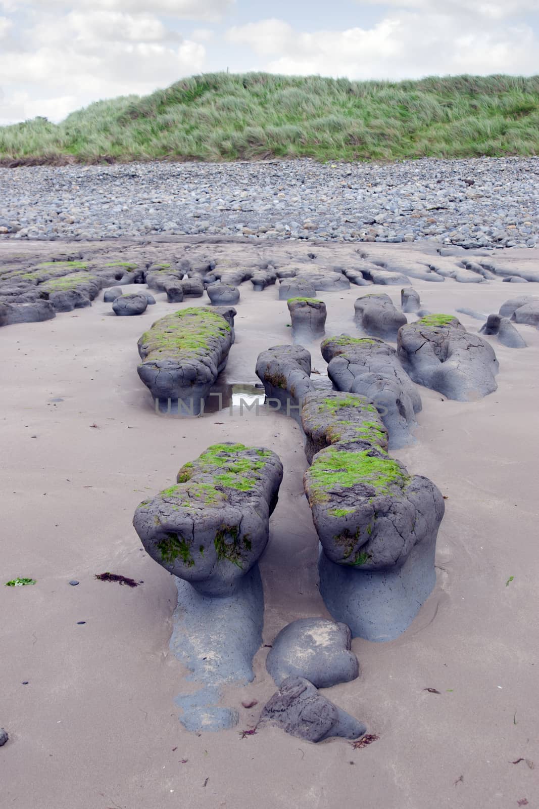 green slimey mud banks at Beal beach by morrbyte