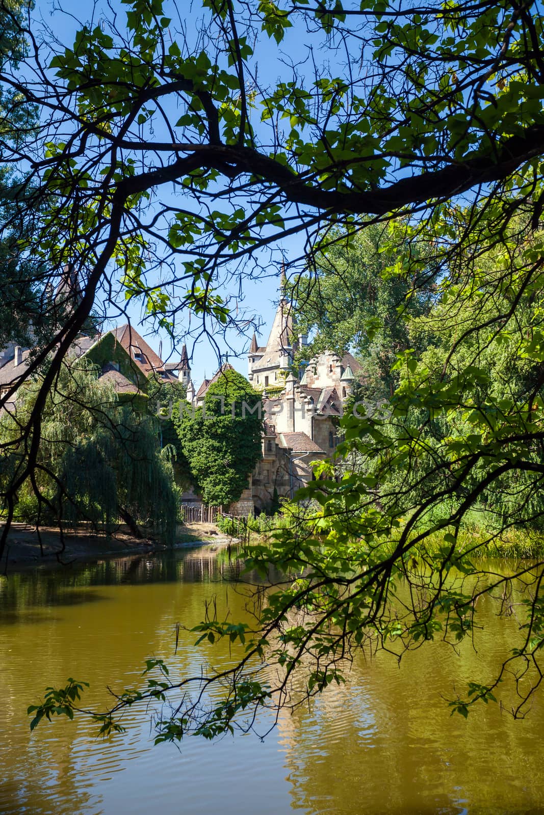 Budapest, Hungary - August 3, 2013: Vajdahunyad Castle view on a sunny day, Budapest, Hungary