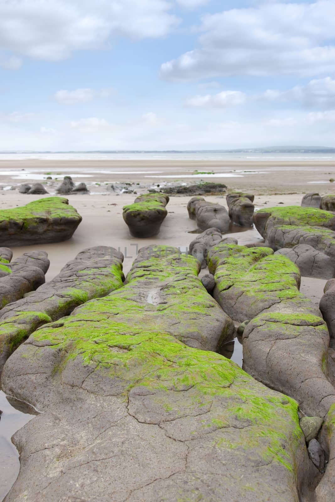 green mud banks at Beal beach by morrbyte